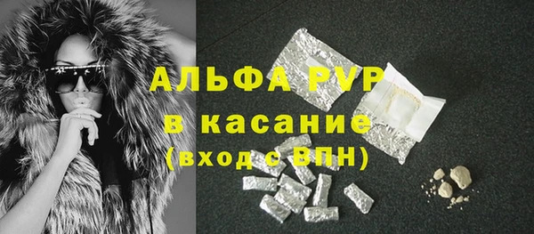 твердый Аркадак