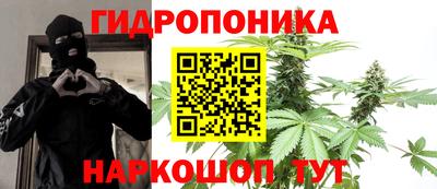каннабис Ачхой-Мартан