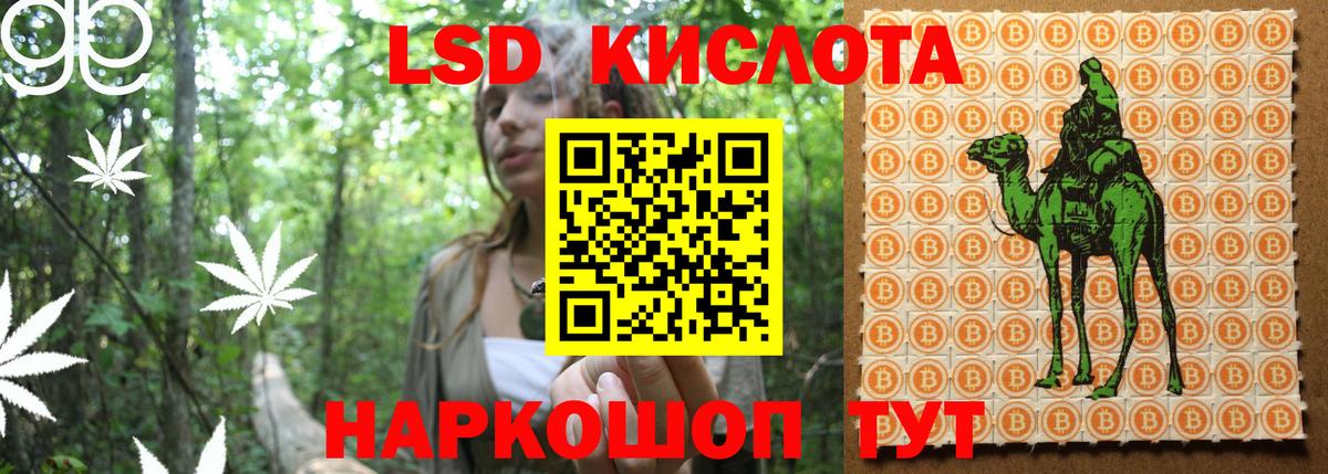 Марки NBOMe 1500мкг Владивосток
