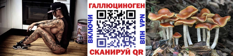 Галлюциногенные грибы мухоморы  ссылка на мегу зеркало  Владивосток 