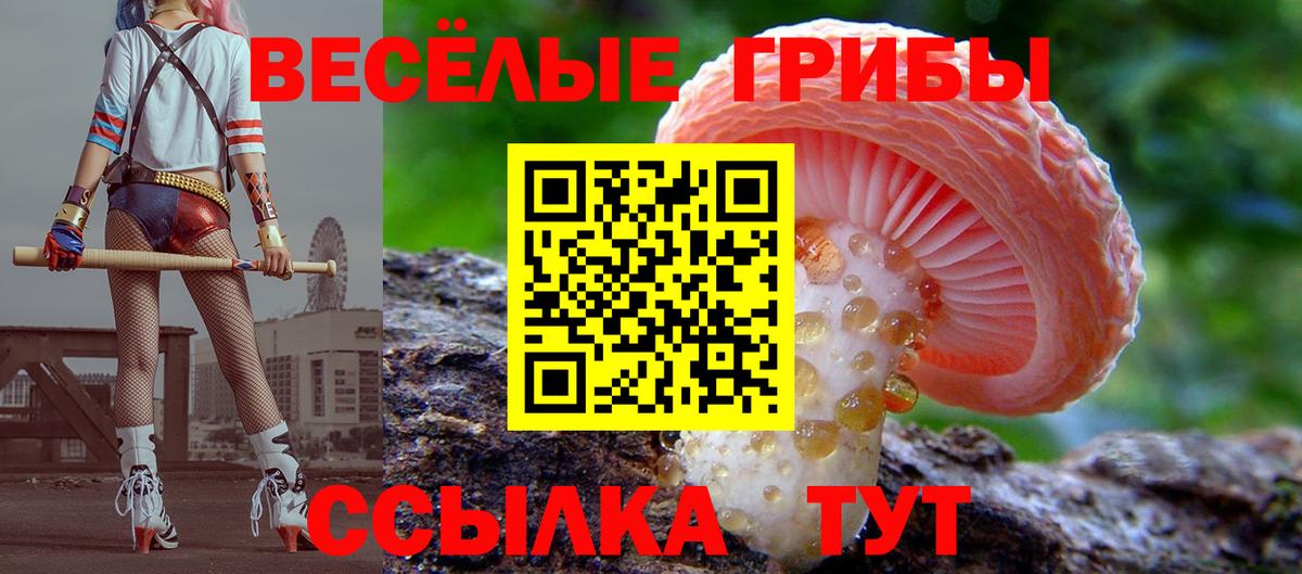 Псилоцибиновые грибы прущие грибы  Вход с VPN  где купить наркоту  Псилоцибиновые грибы мицелий  Владивосток 