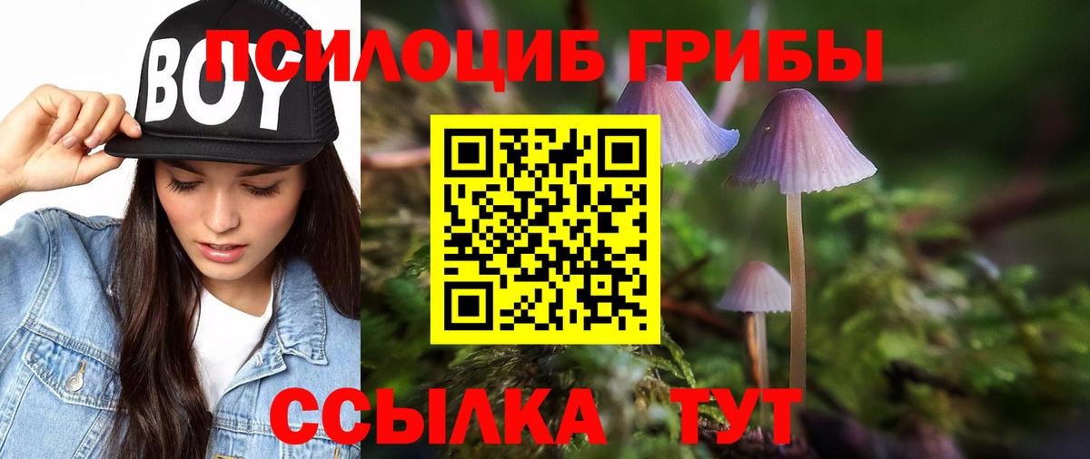 Псилоцибиновые грибы мицелий Владивосток