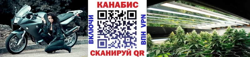 Конопля план  наркота  Владивосток 